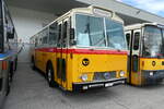 (279'676) - Zimmermann, Niederwangen -  P 24'632  - Saurer/T�scher (ex P 24'632) am 30.