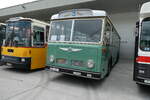 (279'780) - TPF Fribourg - Nr. 33/FR 300'450 - Saurer/Hess (ex Oldtimer Club 33, Tafers Nr. 33; ex GFM Fribourg Nr. 33) am 30. August 2025 in Oberkirch, CAMPUS Sursee