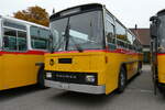 (281'325) - Oldtimer Club Saurer, Arbon - TG 95'083 - Saurer/T�scher (ex Schwizer, Goldach Nr.