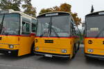 (281'331) - Schumacher, Liebefeld - BE 136'580 - Saurer/T�scher (ex Zimmermann, Niederwangen; ex P 24'289) am 12.