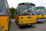 (281'356) - L�tscher, Haldenstein - GR 30'758 - Saurer/R&J (ex Dornbierer, Thal; ex FRAM Drachten/NL Nr.