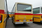 (281'369) - Oldtimer Club Saurer, Arbon - TG 95'083 - Saurer/T�scher (ex Schwizer, Goldach Nr.