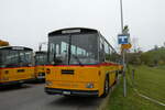 (281'378) - Schmid, Th�rishaus - BE 26'206 - Saurer/T�scher (ex P 24'244) am 12.