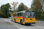 (281'411) - Schmid, Th�rishaus - BE 26'206 - Saurer/T�scher (ex P 24'244) am 12.