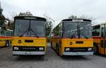 (281'427) - Oldtimer Club Saurer, Arbon - TG 95'083 - Saurer/T�scher (ex Schwizer, Goldach Nr.