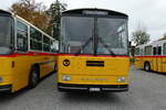 (281'431) - Ackermann, Landquart - GR 106'362 - Saurer/R&J (ex F�ssler, Unteriberg; ex Sch�rch, Gutenburg Nr.