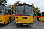 (281'434) - Huber, Oberkirch - LU 49'699 - Saurer/R&J (ex Frigg, Zernez; ex P 24'283) am 12. Oktober 2025 in Hitzkirch, Interkantonale Polizeischule