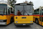 (281'436) - L�tscher, Haldenstein - GR 30'758 - Saurer/R&J (ex Dornbierer, Thal; ex FRAM Drachten/NL Nr.