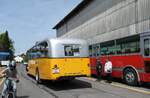 (286'662) - Wegm�ller, Attikon - ZH 9967 - Saurer/Hess (ex P 24'531; ex P 1375) am 2. Mai 2026 in Attikon, Wegm�ller