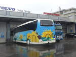 (228'161) - B�hrer, Hirzel - ZH 66'137 - Setra am 19.