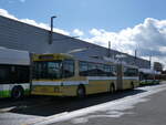 (272'830) - transN, La Chaux-de-Fonds - Nr. 117 - NAW/Hess Gelenktrolleybus (ex TN Neuch�tel Nr. 117) am 13. M�rz 2025 in Marin, D�p�t