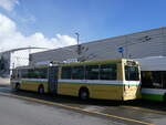 (272'832) - transN, La Chaux-de-Fonds - Nr. 117 - NAW/Hess Gelenktrolleybus (ex TN Neuch�tel Nr. 117) am 13. M�rz 2025 in Marin, D�p�t