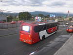 (212'528) - Tuasa, Alajuela - Nr. 88/7038 - MAN-Kinglong am 26. November 2019 in San Jos�, Airport