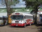 (212'477) - Transportes Tilar�n, Tilar�n - 3069 - Bluebird am 26.