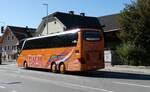 (280'552) - Aus Deutschland: Palm, Halbe - LDS-HP 516 - Setra am 18.