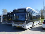 (273'715) - Qbuzz, Groningen - Nr.