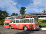 (211'704) - Ulrich, Neuvo Arenal - FBW/Vetter-R&J Anderthalbdecker (ex Wespe, CH-Altst�tten; ex AFA Adelboden/CH Nr.