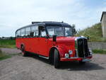 (264'613) - Raab, Bad D�rrenberg - MER-K 49H - Saurer/Saurer (ex VDZ/Landerlebniswelt, Bad D�rrenberg; ex Fankhauser, CH-Arzier; ex AFA Adelboden/CH Nr.
