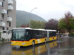 (225'493) - Buchard, Leytron - VS 104'346 - Mercedes am 1.