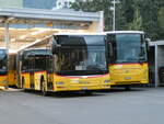 (241'174) - D�nser, Trimmis - GR 95'435 - MAN am 12.