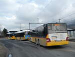 (245'865) - D�nser, Trimmis - GR 83'137/PID 5663 - MAN am 6.