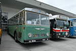 (279'781) - TPF Fribourg - Nr. 33/FR 300'450 - Saurer/Hess (ex Oldtimer Club 33, Tafers Nr. 33; ex GFM Fribourg Nr. 33) am 30. August 2025 in Oberkirch, CAMPUS Sursee