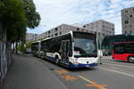 (278'236) - Globe-Limo, Le Lignon - Nr.