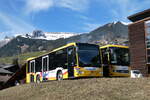 (285'365) - GrindelwaldBus, Grindelwald - Nr.