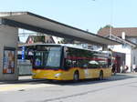(184'487) - H�fliger, Sursee - Nr.