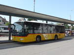 (184'488) - H�fliger, Sursee - Nr.