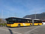 (202'890) - H�fliger, Sursee - Nr.