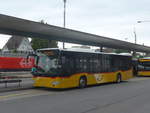 (218'018) - H�fliger, Sursee - Nr.