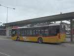 (218'019) - H�fliger, Sursee - Nr.