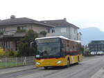(225'070) - H�fliger, Sursee - Nr.