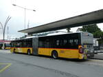 (239'507) - H�fliger, Sursee - Nr.