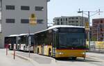 (278'904) - H�fliger, Sursee - Nr.