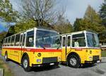 (256'489) - Lambach, Gommiswald - NW 24'301 - FBW/Eggli (ex Tanner+Lambach, Reigoldswil; ex Lambach, Rieden; ex Meier, Gr�t; ex AVG Grindelwald Nr.