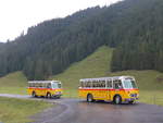 (197'827) - Frutig, Birmensdorf - ZH 560'883 - FBW/FHS (ex P 23'217) + M�ller, Ennetmoos - NW 23'167 - FBW/Gangloff (ex Rentsch, Gunten; ex P 23'203; ex P 21'003) am 16.