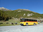 (228'758) - Oser, B�rchen - VS 93'575 - NAW/Lauber (ex Epiney, Ayer) am 10.