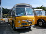 (266'461) - Party-Bus, Grosswangen - LU 107'711 - Saurer/Saurer (ex Widmer, Aarburg; ex Diethelm, Z�rich; ex P 24'133; ex P 21'733) am 31.