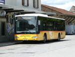 (252'339) - PostAuto Ostschweiz - SG 356'488/PID 5690 - Mercedes (ex Schmidt, Oberb�ren) am 4.