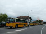 (239'795) - Schmid, Th�rishaus - BE 26'206 - Saurer/T�scher (ex P 24'244) am 28.