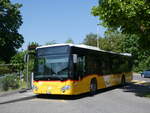 (274'431) - Schumacher, Metzerlen - Nr.