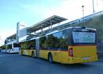 (240'062) - Steiner, Ortschwaben - Nr. 3/BE 83'880 - Mercedes am 11. September 2022 beim Bahnhof G�mmenen