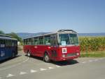 (141'305) - Zivilschutz, Winterthur (R�trobus) - Nr.