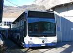 (270'526) - TPG Gen�ve - Nr. 194/GE 960'630 - Mercedes am 1. Januar 2025 in Leytron, Garage Buchard