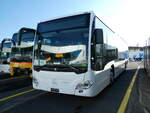 (229'359) - TSPG Saignel�gier - PID 11'768 - Mercedes am 16.