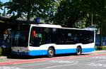 (279'445) - VBL Luzern - Nr.