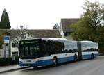 (256'251) - VBZ Z�rich - Nr.