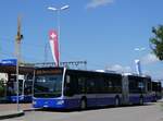 (265'658) - VZO Gr�ningen - Nr.